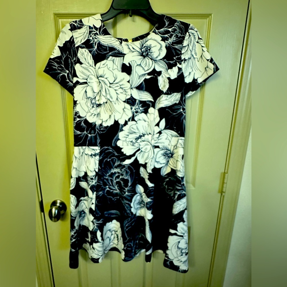 Eliza J dress. Size 12P